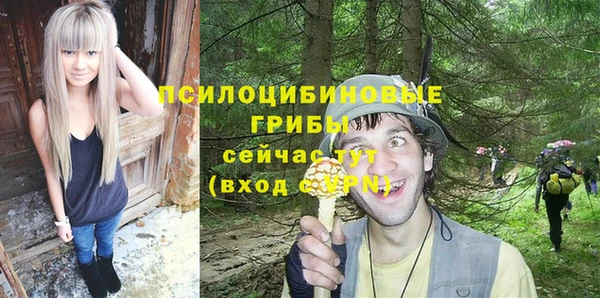 PSILOCYBIN Алексин