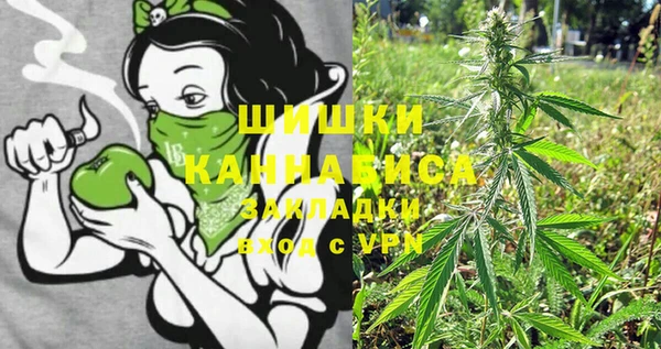 PSILOCYBIN Алексин