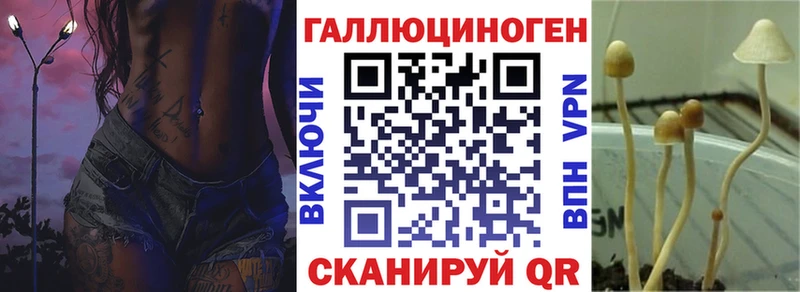 Галлюциногенные грибы мухоморы Спасск-Рязанский